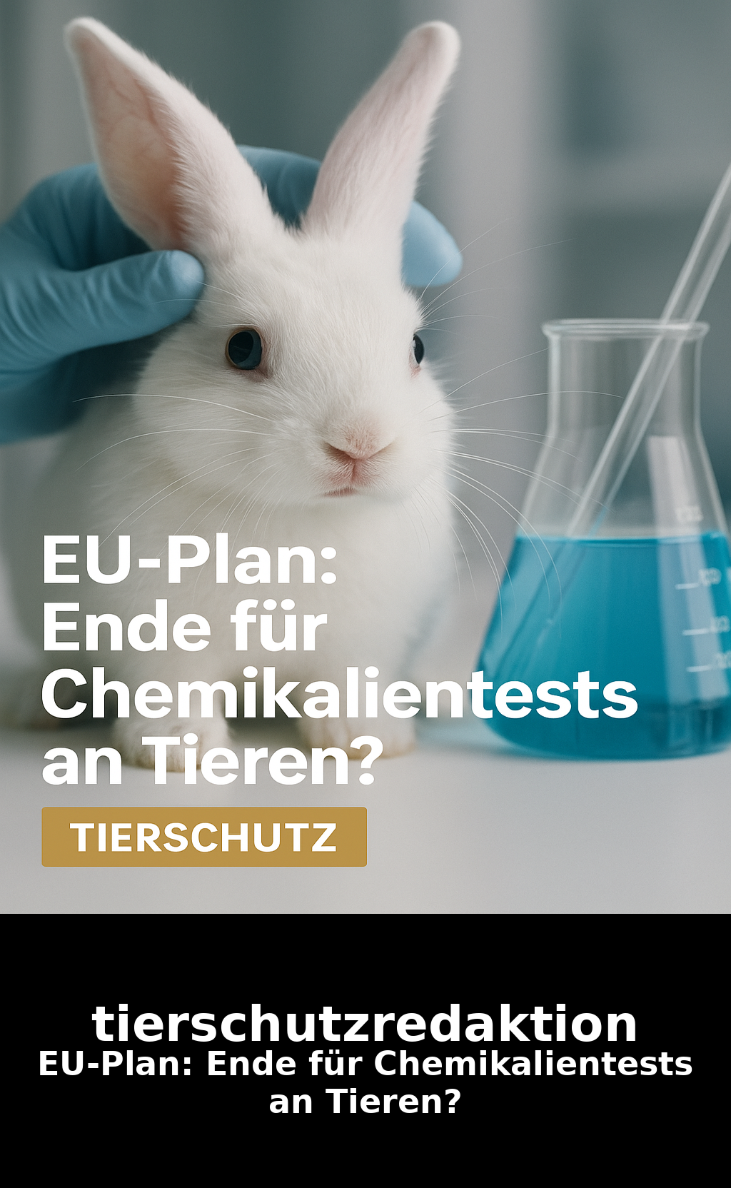 EU-Plan: Ende für Chemikalientests an Tieren?