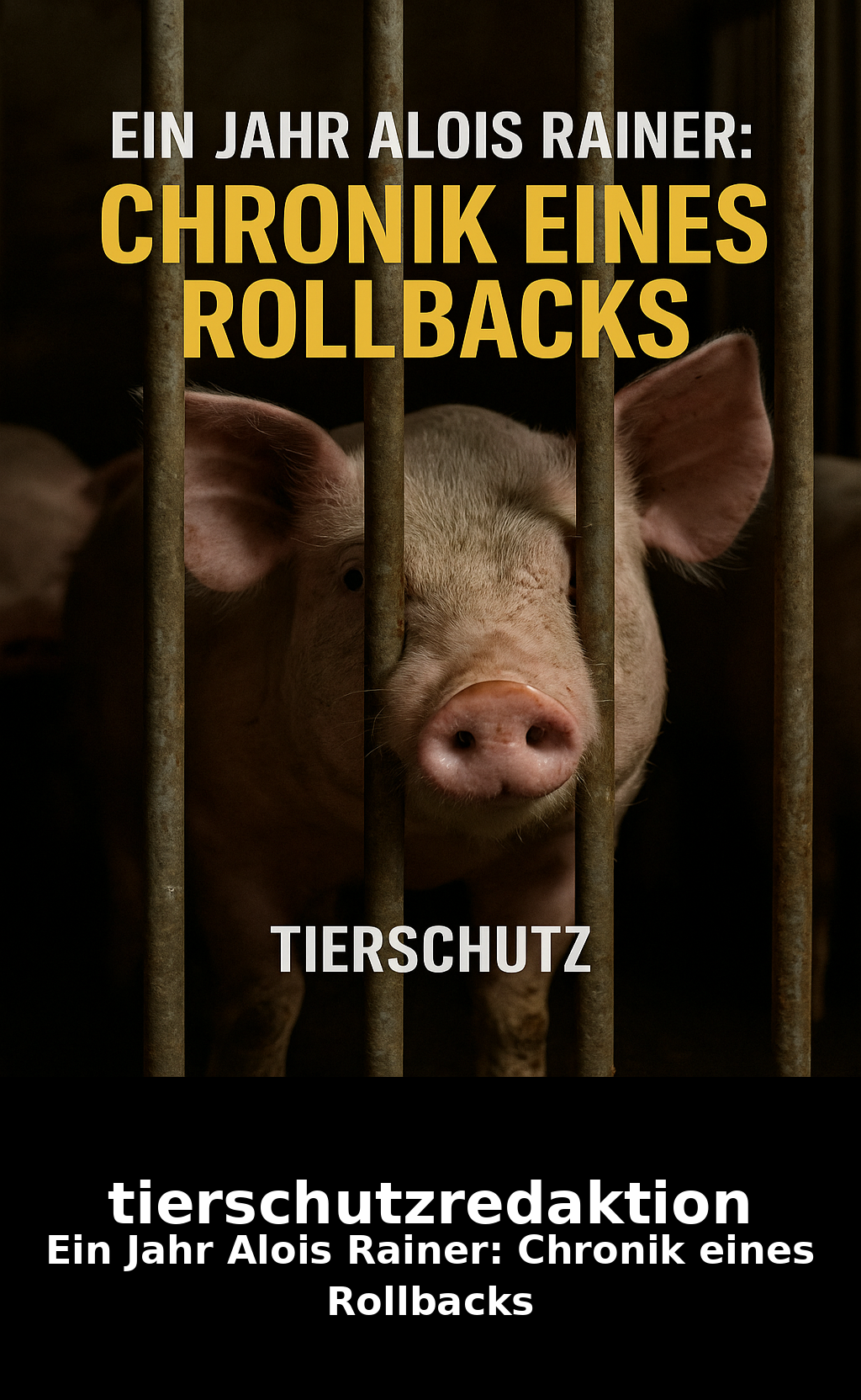 Ein Jahr Alois Rainer: Chronik eines Rollbacks
